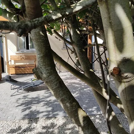 Dniceparis * Le Plessis-Pate